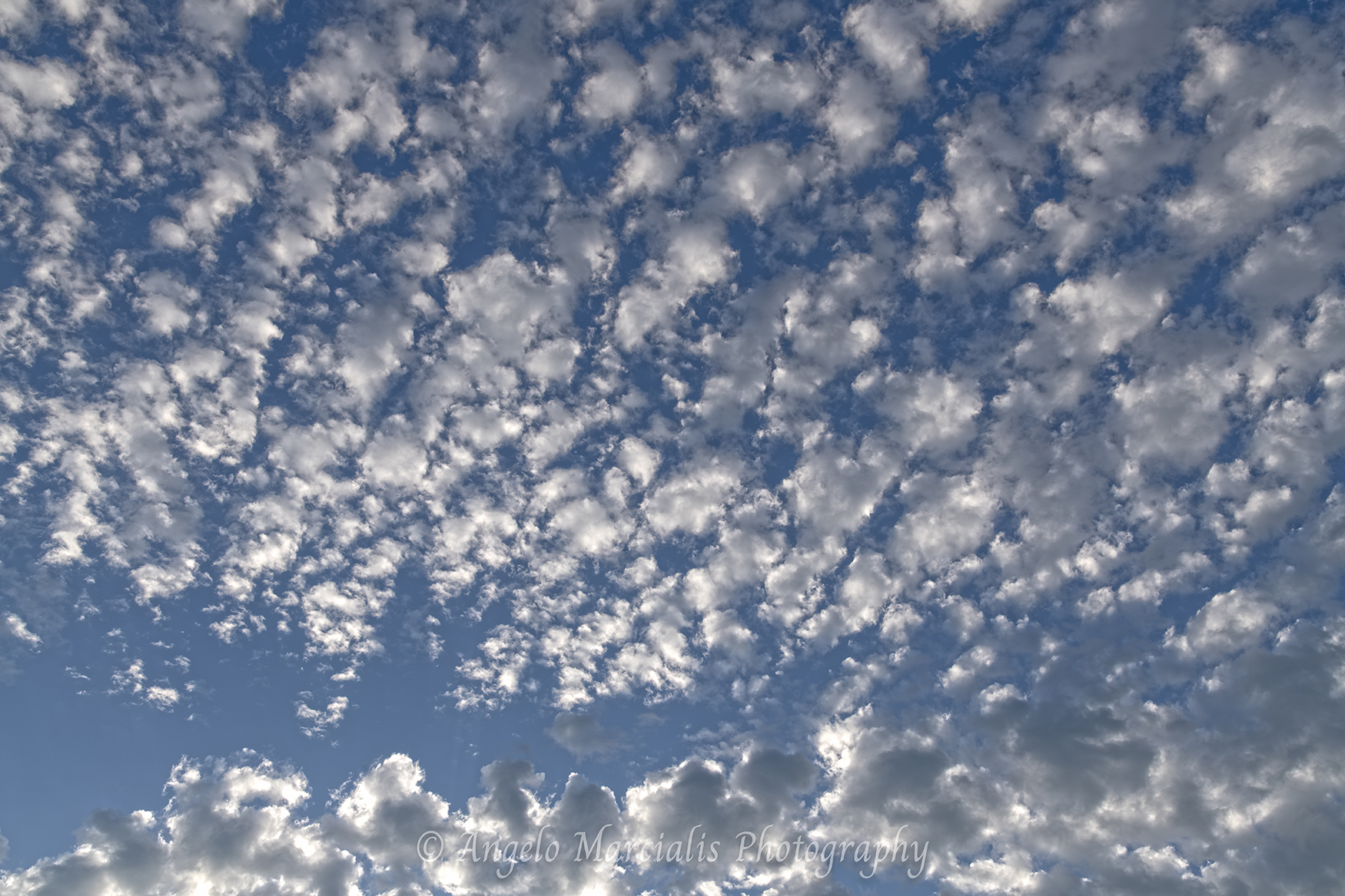 A sky filled with scattered altocumulus clouds illuminated by low, warm light, creating a textured pattern across the blue atmosphere.